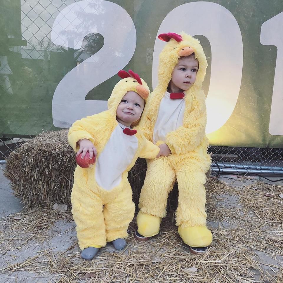 Chickens